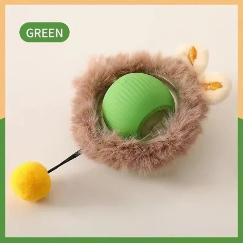 Pet Toy Ball